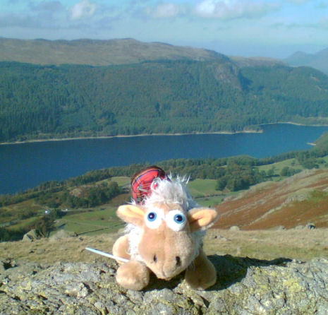 Fleece on some rocks in the Lake District